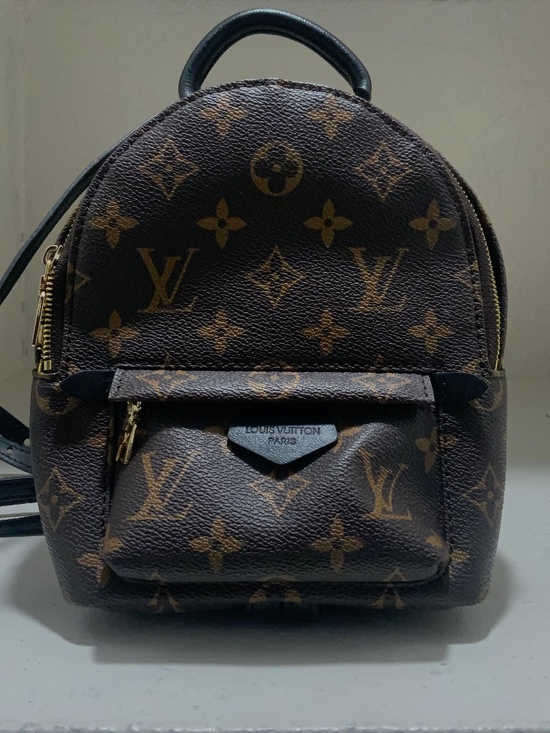 Louis Vuitton Palm Springs Mini Backpack
